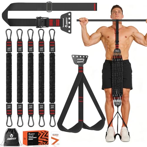Adjustable Pull Up Assistance Band, Heavy Duty Assisted Pull Up Bands Support 375lbs, Upgrade Pull Up Bar Resistance Band for Assist Pullup Home Gym Strength Training