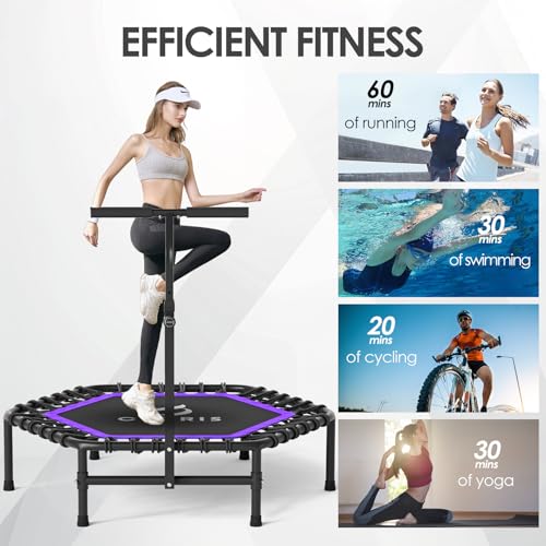 45'' Rebounder Trampoline for Adults - Max Load 450lbs, Trampoline with Adjustable Foam Handle Indoor/Outdoor Fitness Body Exercise - color: Purple