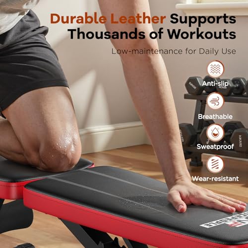 Adjustable Weight Bench for Home Gym, 660LBS Stable Workout Bench with 8 Backrest for Full Body Dumbbell & Bench Press Training, Compact Foldable Strength Bench for Small Spaces Apartments