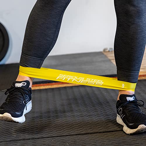 Mini Resistance Loop Bands | Rehab and Prehab Stretch Bands | 12" Exercise Workout Bands (Sets of 5 Pack and Sets of 10 Pack Trainer Options Available!)