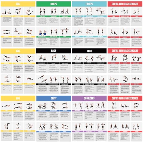 Full Body Workout Poster for Home Gym – Exercise Chart for Glutes, Legs, Back & Abs – Strength Training Guide with Squats, Lunges, Deadlifts, Core Exercises – Bodyweight & Dumbbell Training Guide