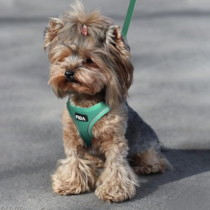 Fida Cat Harness and Leash Set for Walking Kitten and Puppy, Escape Proof Kitten Harness with Breathable Lightweight Soft Mesh, Adjustable Reflective Step-in Design. (XXXS, Green) - color: Turquoise, size: XXXS (Neck:10.2"-11.4"; Girth:11.4"-12.6")