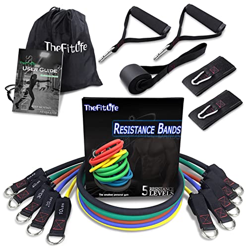 TheFitLife Resistance Bands Set for Women & Beginners – Home Workout Equipment with Handles, Door Anchor & Ankle Straps, Exercise Bands for Rehab, Yoga & Fitness