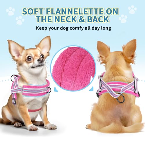 Lukovee No Pull Dog Harness and Leash Set, Soft Padded Small Dog Harness, Neck & Chest Adjustable Reflective Vest Puppy Harness with 4ft Lightweight Anti-Twist Dog Leash for Small Dogs (XS, Fuschia)