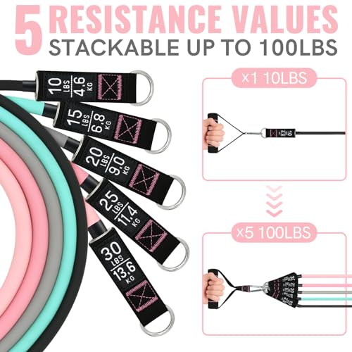 Resistance Bands for Working Out, Exercise Bands with Handles, Stretch Bands for Exercise, Workout Bands with Door Anchors for Physical Therapy & Strength Training