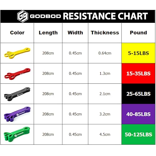 Resistance Bands Set – 5 Long Loop Bands for Home Workouts, Pull-Ups, Physical Therapy & Recovery – Heavy to Light Exercise Bands with Carry Bag – Durable Fitness Bands for Men & Women