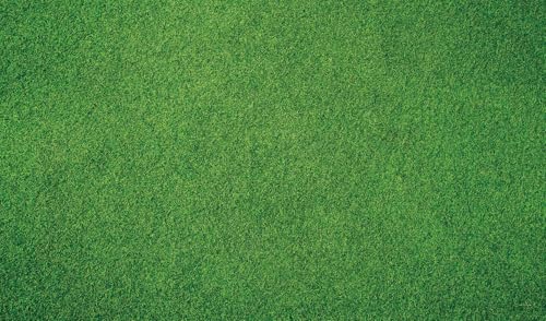 Kate Green Grass Rubber Photography Floor Mat 8x5ft - color: Green Grass, size: 8x5ft