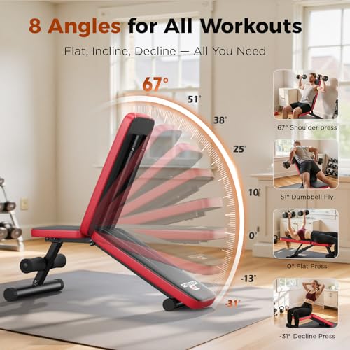 Adjustable Weight Bench for Home Gym, 660LBS Stable Workout Bench with 8 Backrest for Full Body Dumbbell & Bench Press Training, Compact Foldable Strength Bench for Small Spaces Apartments