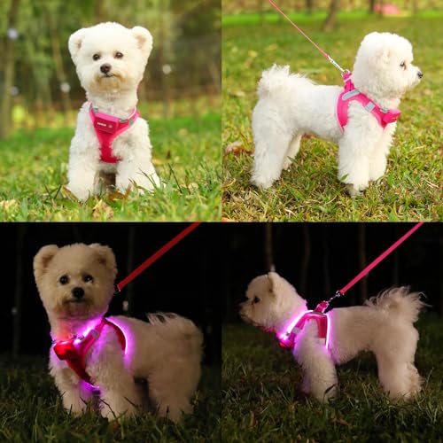 Light Up Dog Harness, Rechargeable LED Dog Harness for Small Medium Dogs - color: Pink, size: L