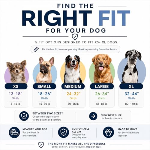 ShawnCo Essential Pro Dog Harness, No-Pull Pet Vest with 3 Leash Clips and Removable, Reflective Side Patches, Adjustable and Padded Harness for Small, Medium and Large Dogs (Orchid, M)