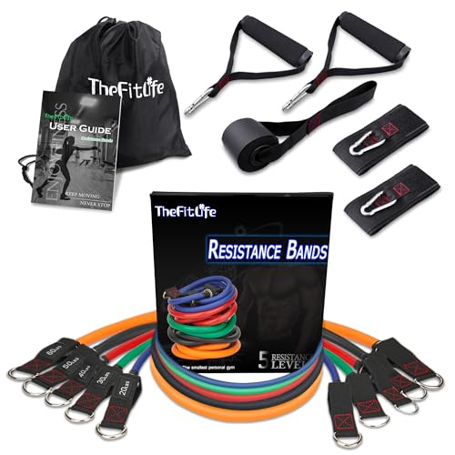 TheFitLife Resistance Bands Set for Women & Beginners – Home Workout Equipment with Handles, Door Anchor & Ankle Straps, Exercise Bands for Rehab, Yoga & Fitness