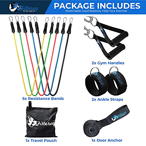 Home Gym Workout Bands - Resistance Band Weight Set Includes 5 Stackable Tension Bands, Premium Exercise Handles, Ankle Straps, Door Anchor and Carry Bag for Exercise & Physical Therapy