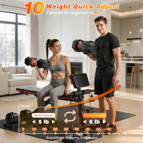 GIKPAL Adjustable Weight Bench - Workout Bench Press for Home Gym - color: Plus 10-Gear 55LB Pair