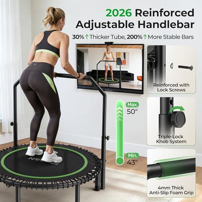 BCAN BT2 450/550LBS Mini Rebounder Trampoline for Adults with Bar, Fitness Trampoline with Bungees, Adjustable Handle, Stable & Quiet, Indoor Outdoor, Whole-Body Workout - 40IN/48IN | FED Fitness