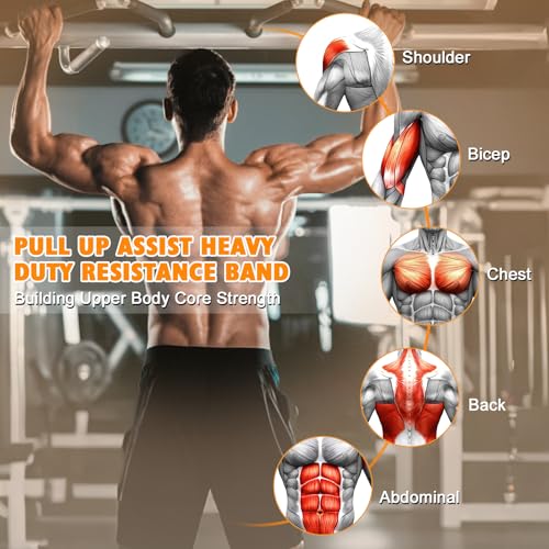 Two Foot Pull Up Assistance Bands,Heavy Duty Pull Up Workout Bands,Adjustable Weight/Size with Comfortable Fabric Feet/Knee Rest for Home Gym Strength Training