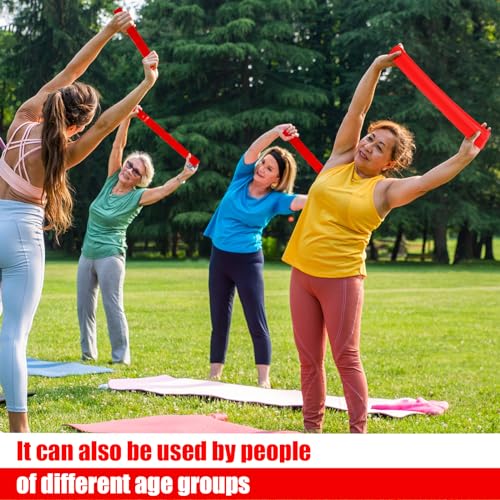 20 Pcs Resistance Bands Resistance Loop Exercise Bands Exercise Equipment Elastic Drap Ring for Women and Men Home Fitness, Gym, Yoga