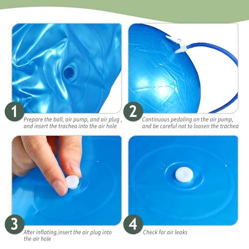 Hungdao 6 Pack Exercise Ball Bulk Inflatable Pregnancy & Workout Ball 22 Inch Heavy Duty Pilates Ball for Yoga Stretching Therapy Balance Physical Fitness - color: Blue