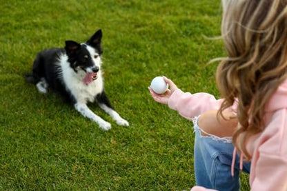 EM^2 EM2 Lacrosse Ball Set of 6 - Multi-Purpose Lacrosse Balls for Massage, Sport & Pet Play - Durable, Long Lasting and No Smell