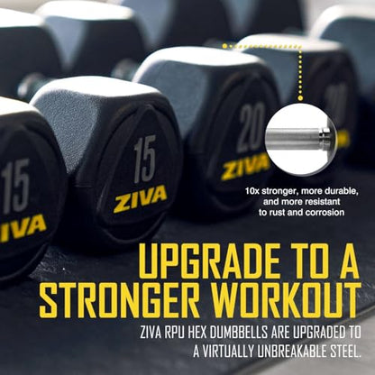 ZIVA Premium Hex Dumbbells – Commercial Grade Rubber Urethane Coated Free Weights for Strength Training, Weightlifting, Home Gym – Durable Steel Core – Sold in Pairs and Sets - style: u) 6 Pair Set + Rack