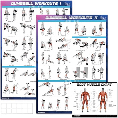 goremote Dumbbell Workout Poster Set (2 Pack) for Home Gym Exercise