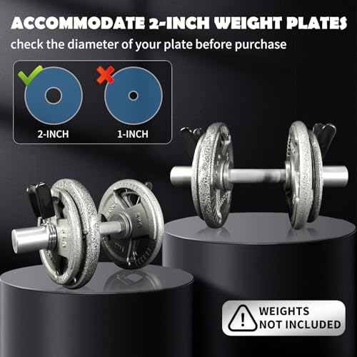 16" Olympic Dumbbell Handle, Dumbbell Bar for 2-inch Olympic Weight Plates, Loadable Dumbbells for Home Gym Strength Training, 2 Pair of Spring Collars Included - color: Silver