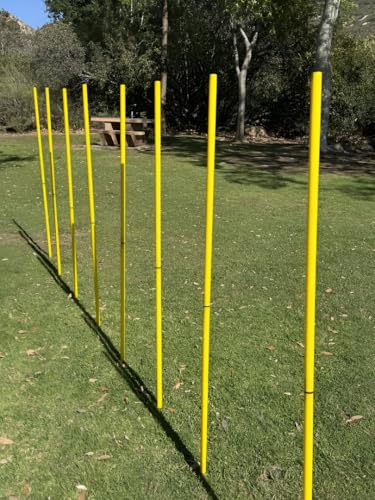 BlueDot Trading Soccer Agility Poles | Telescopic, Fixed & Collapsible Options (4, 6, 8 Piece Sets) Speed Training Poles for Agility Drills, Outdoor Games, Football & Sport Training Equipment - size: 8, style: Collapsible