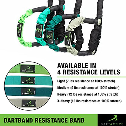 DartBand Premium Resistance Bands with Handles,Door Anchor,and Carabiner Clip for Athletic Training,Rehab,Strength Training,Yoga,Physical Therapy,Home Workout Solution-Medium Resistance - style: Resistance Bands