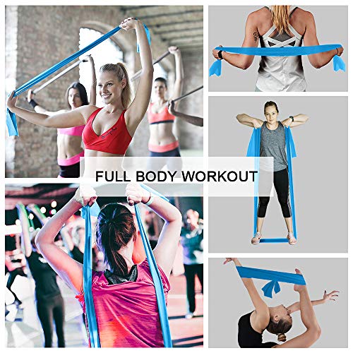 Resistance Bands,Professional Long Non-Latex Elastic Stretch Bands,Exercise Bands for Physical Therapy, Yoga, Pilates, Rehab, at-Home or The Gym Workouts, Strength Training