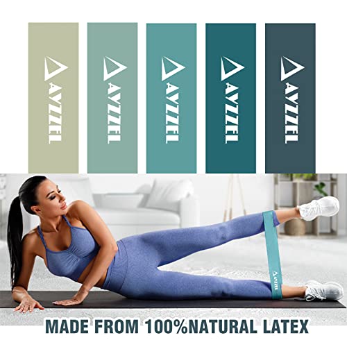 Resistance Loops Stretch Bands for Exercise, Set of 5 mini Resistance Bands for Work Out Women and Men Elastic Bands Light Medium and Heavy Resistance Level with Free Carry Bag