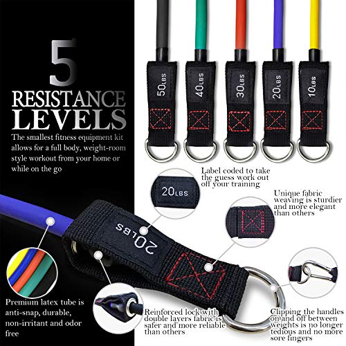 TheFitLife Resistance Bands Set for Women & Beginners – Home Workout Equipment with Handles, Door Anchor & Ankle Straps, Exercise Bands for Rehab, Yoga & Fitness