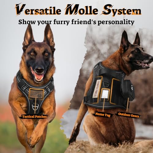 rabbitgoo Dog Harness Medium Sized No Pull, Tactical Service Pet Vest with Molle and Control Handle, Adjustable and Reflective Military Harness for Easy Walking and Training, Black, M