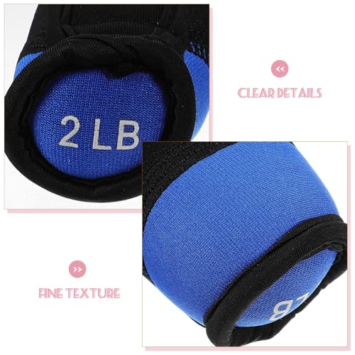 Ciieeo Soft Dumbbells Hand Weights 1 Pair 2lb Each Blue Portable Iron Sand Exercising Sandbag for Running Fitness Home Training