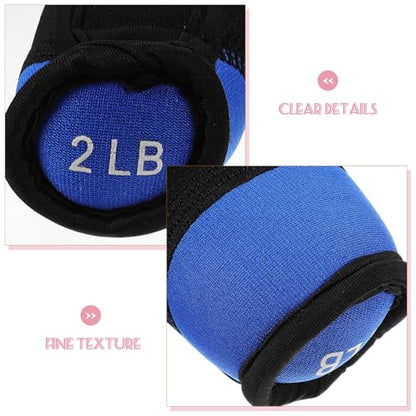 Ciieeo Soft Dumbbells Hand Weights 1 Pair 2lb Each Blue Portable Iron Sand Exercising Sandbag for Running Fitness Home Training