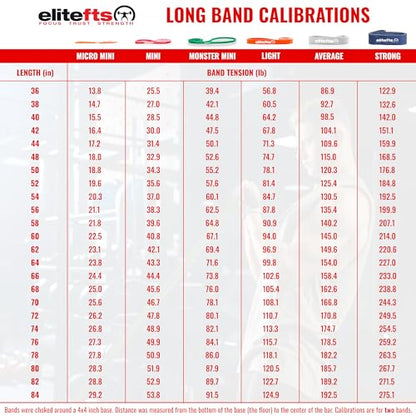 EliteFTS Pro Resistance Band - Boost Core Stability and Flexibility with This Portable, Joint-Friendly Tool - size: Pair, style: PRO MICRO RESISTANCE BAND