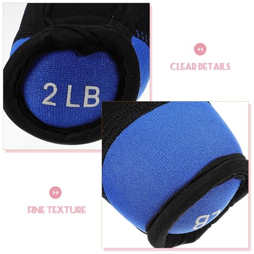 Soft Dumbbells 2lb Pair Portable Hand Weights for Running Fitness Training Blue Sandbag Arm Exerciser Home Workout Equipment