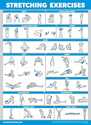 Palace Learning 4 Pack - Resistance Bands Workout Posters Volume 1, 2 & 3 + Stretching Exercise Chart (Laminated, 18" x 24")