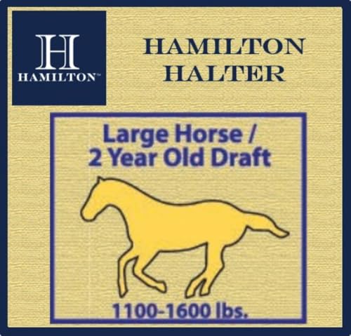 Hamilton Quality Horse Halter, 1100-1600 lbs, Purple - color: Purple, size: Large, 1100-1600lbs