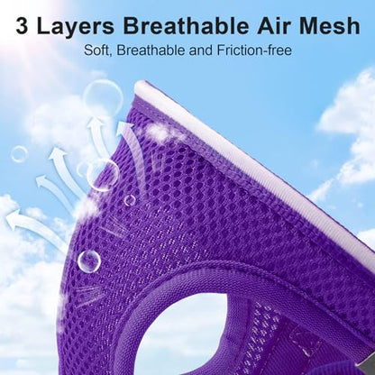 Light Up Dog Harness, Rechargeable LED Dog Harness for Small Medium Dogs - color: Purple, size: XS