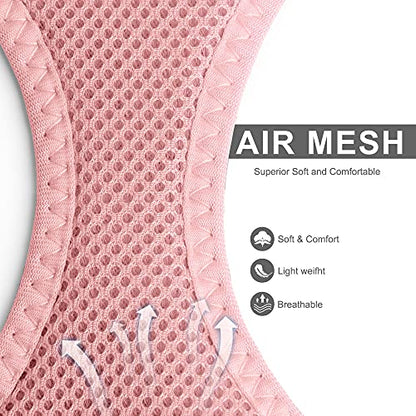Fida Comfy Dog Harness with Leash, Cat Vest Harness Escape Proof, Breathable Lightweight Soft Mesh, Adjustable Reflective Step-in Harness for Puppy Toy Breeds & Extra-Small Pet (XXS, Pink) - color: Pink, size: XXS (Neck:11.4"-12.2"; Girth:12.6"-14.2")