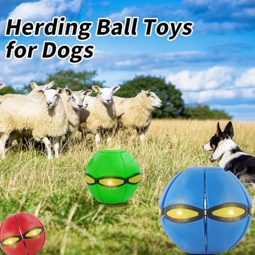 3PCS Dog Flying Disc Toy - Light Up Saucer Ball for Dogs - Outdoor Games (Red+Blue+Pink) - color: Red+Blue+Pink