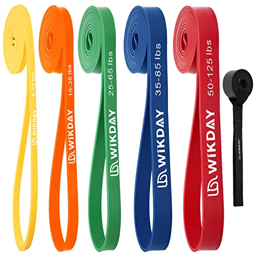 Resistance Bands, Pull Up Bands, Workout Bands for Exercise, Thick Heavy Resistance Band Set with Door Anchor, Elastic Bands for Body Stretching, Training at Home/Gym for Men & Women