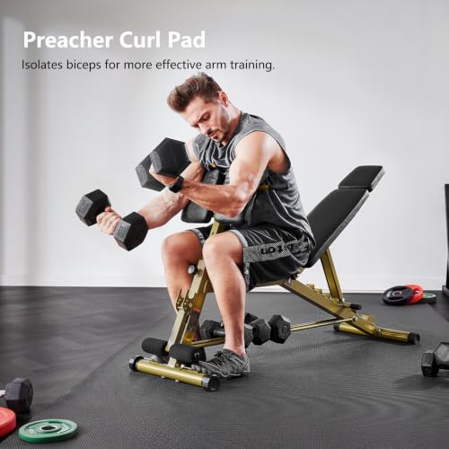 Adjustable Weight Bench with Preacher Curl & Hyper Extension, Roman Chair for Full Body Strength Training