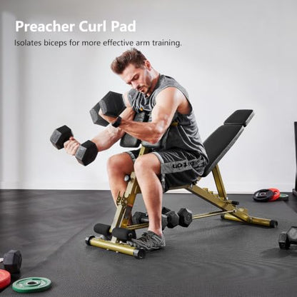 Adjustable Weight Bench with Preacher Curl & Hyper Extension, Roman Chair for Full Body Strength Training