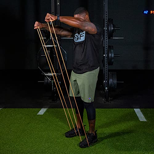 32" Resistance Training Bands (Portable Exercise Band System Training Bands- Great for Individuals Under 5'10")