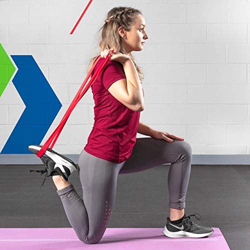 METIS Resistance Exercise Bands | Heavy Duty Latex Power Bands for Strength Training, Fitness Workouts, and Assisted Pull-Ups – 6 Resistance Levels, Sold Individually or as a Set - color: Red (18-33lb Resistance)