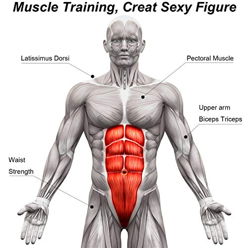 Abdominal Roller AB Roller Wheel Muscle Trainer for Arms Back Belly Central Body Shape Training Fitness Exercise Gym Accessory