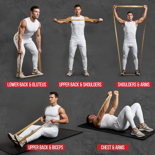 Long Resistance Bands for Working Out | Set of 6 Exercise Bands for Full-Body Training | Pull Up Bands for Home Gym with Handles, Door Anchor and Bar Options | for Men & Women