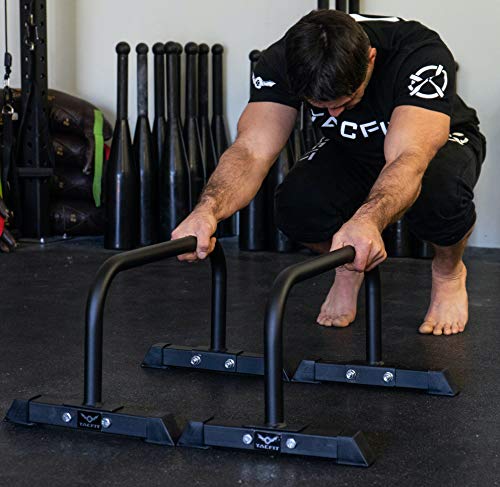 Parallettes - Versatile Push up and Dip Bars For Home Gym