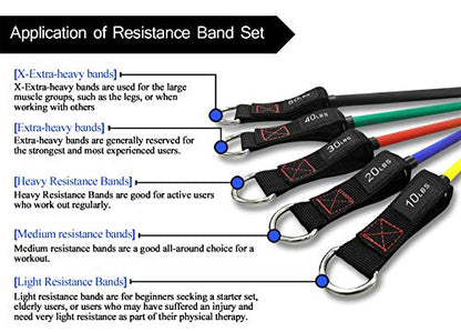 TheFitLife Resistance Bands Set for Women & Beginners – Home Workout Equipment with Handles, Door Anchor & Ankle Straps, Exercise Bands for Rehab, Yoga & Fitness