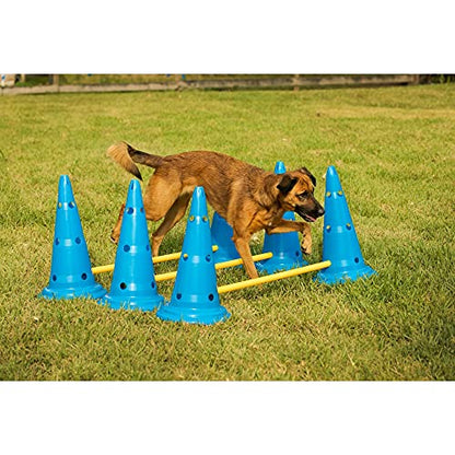 Midlee Dog Cone & Pole Agility Set- Adjustable Big to Small Dogs- Set of 3